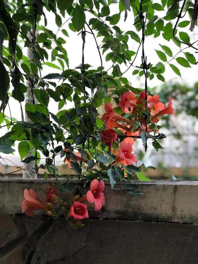 Hidden Hue Homestay エクステリア 写真