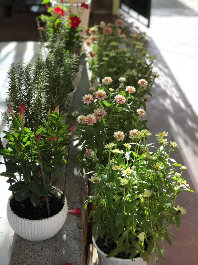 Hidden Hue Homestay エクステリア 写真
