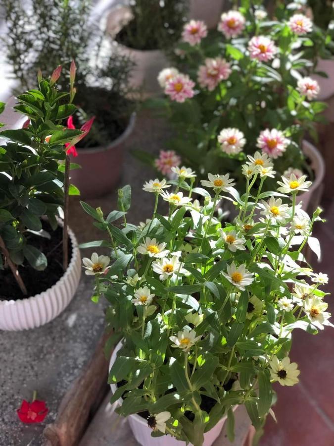 Hidden Hue Homestay エクステリア 写真
